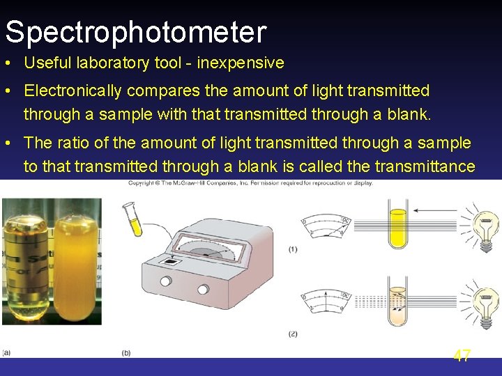 Spectrophotometer • Useful laboratory tool - inexpensive • Electronically compares the amount of light