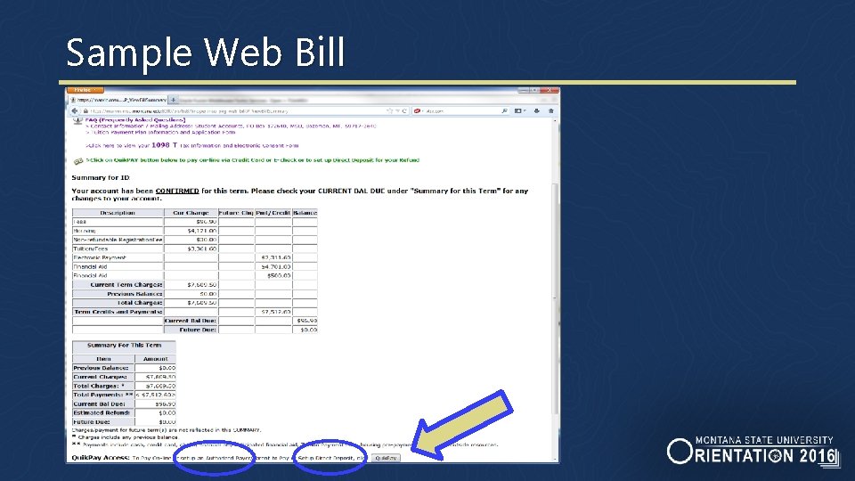 Sample Web Bill 