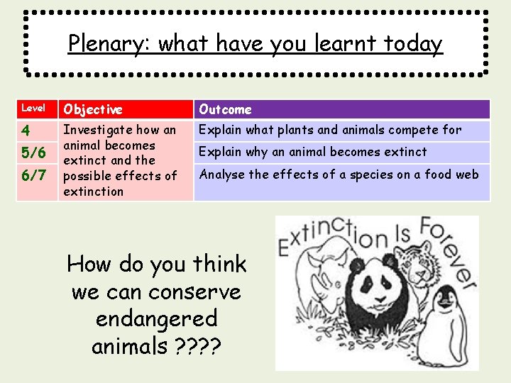 Plenary: what have you learnt today Level Objective Outcome 4 Investigate how an animal