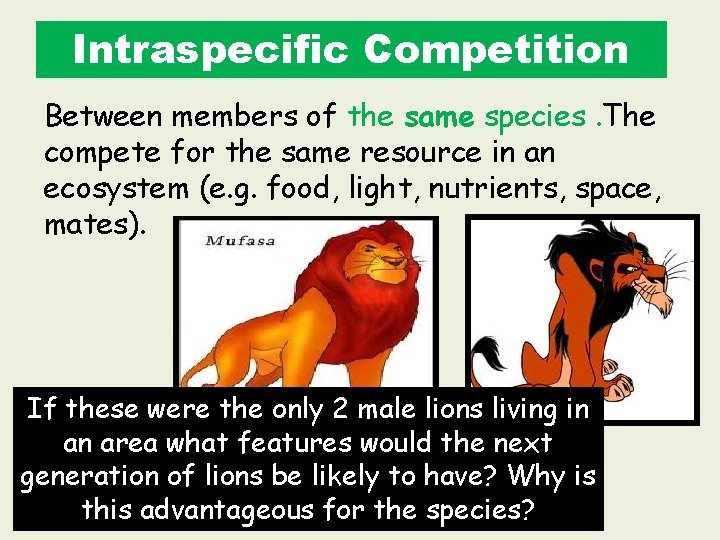 Intraspecific Competition Between members of the same species. The compete for the same resource