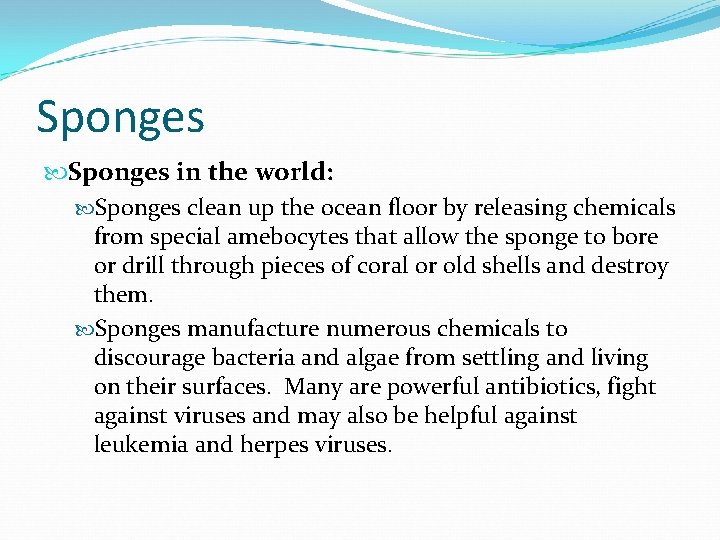 Sponges in the world: Sponges clean up the ocean floor by releasing chemicals from
