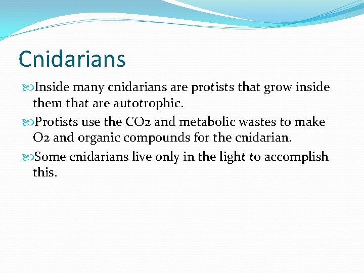 Cnidarians Inside many cnidarians are protists that grow inside them that are autotrophic. Protists