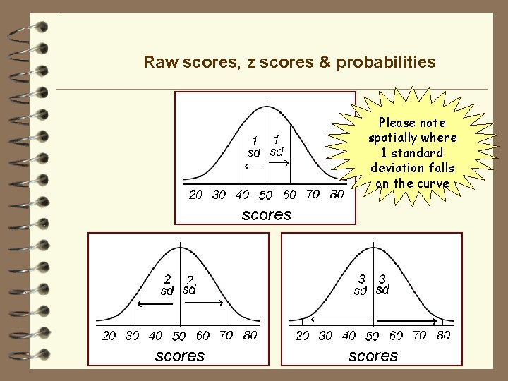 Raw scores, z scores & probabilities Please note spatially where 1 standard deviation falls