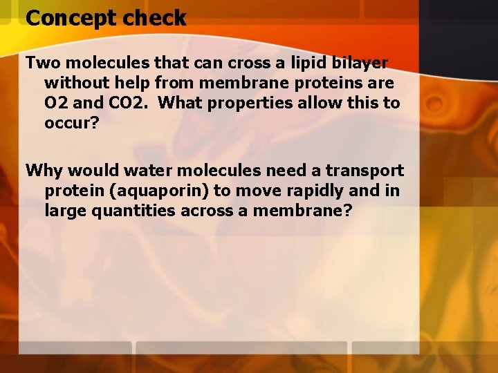 Concept check Two molecules that can cross a lipid bilayer without help from membrane