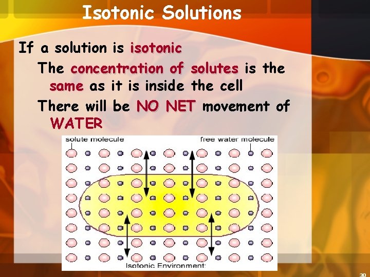 Isotonic Solutions If a solution is isotonic The concentration of solutes is the same