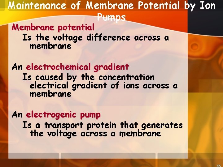 Maintenance of Membrane Potential by Ion Pumps Membrane potential Is the voltage difference across