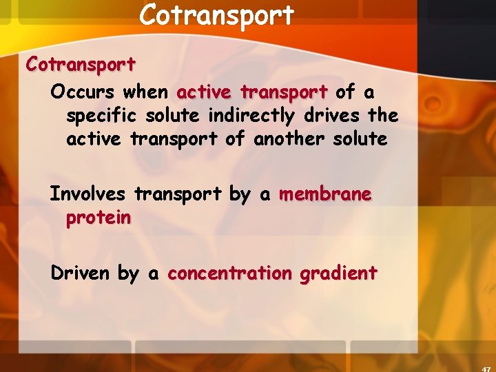 Cotransport Occurs when active transport of a specific solute indirectly drives the active transport