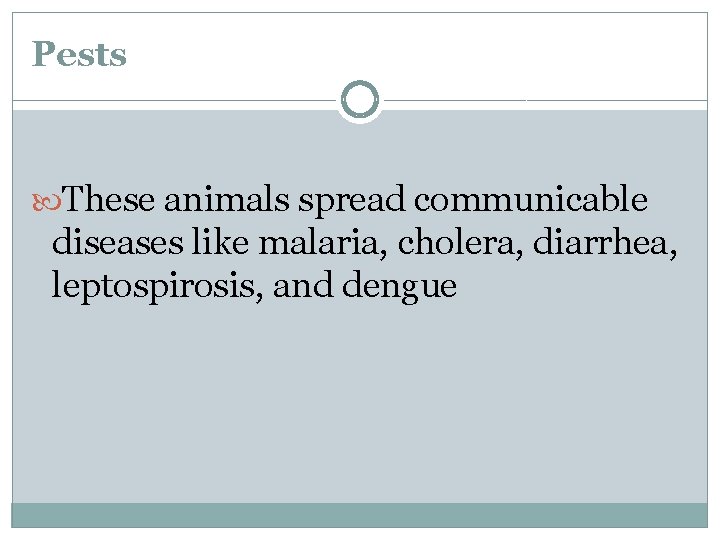 Pests These animals spread communicable diseases like malaria, cholera, diarrhea, leptospirosis, and dengue 