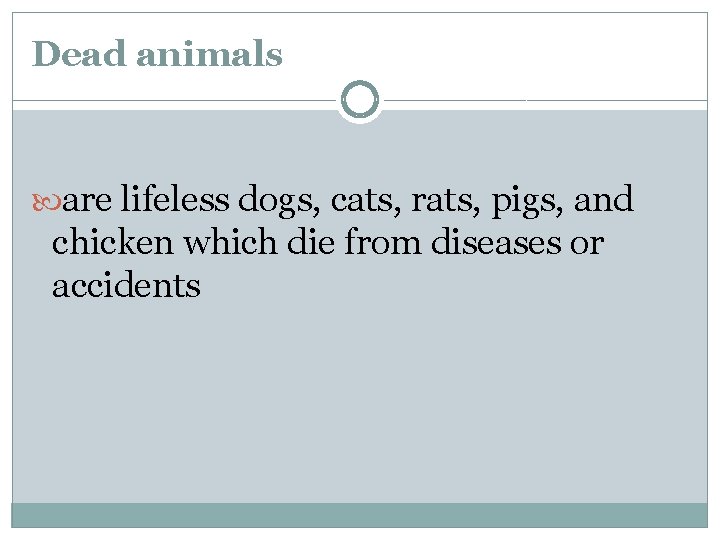 Dead animals are lifeless dogs, cats, rats, pigs, and chicken which die from diseases