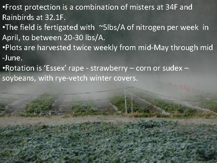  • Frost protection is a combination of misters at 34 F and Rainbirds