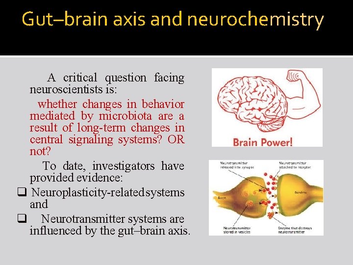 Gut–brain axis and neurochemistry A critical question facing neuroscientists is: whether changes in behavior