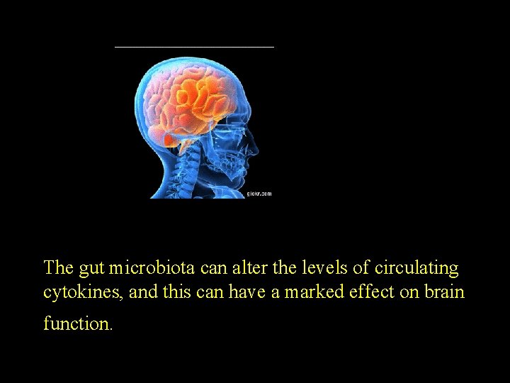 The gut microbiota can alter the levels of circulating cytokines, and this can have