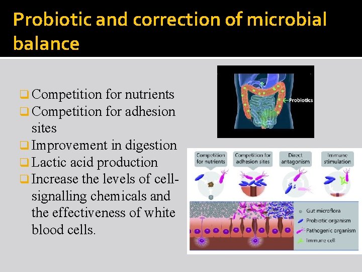 Probiotic and correction of microbial balance q Competition for nutrients for adhesion sites q