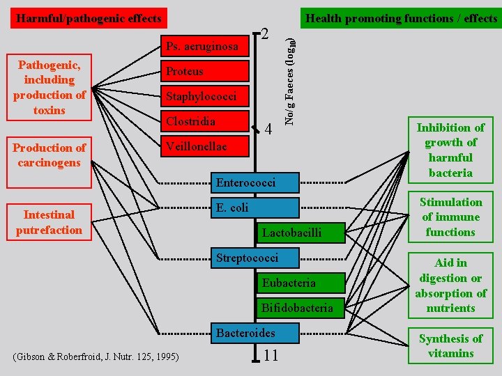 Ps. aeruginosa Pathogenic, including production of toxins Production of carcinogens 2 Proteus Staphylococci Clostridia