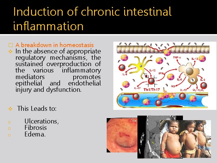Induction of chronic intestinal inflammation � v v o o o A breakdown in