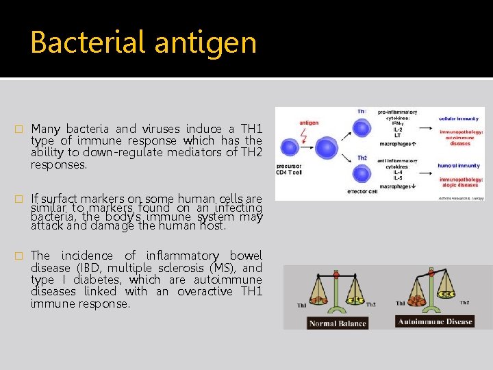 Bacterial antigen � Many bacteria and viruses induce a TH 1 type of immune