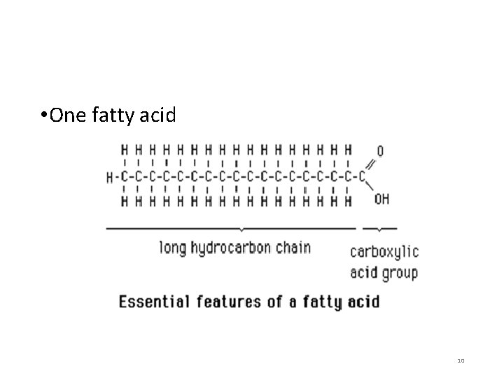  • One fatty acid 10 