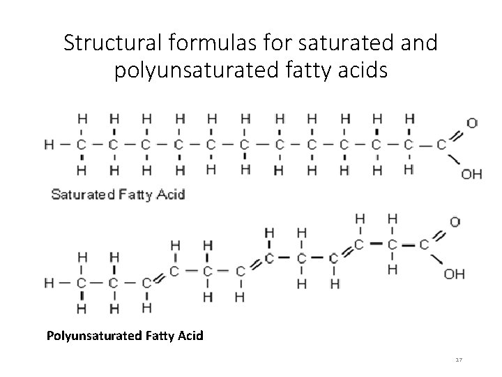 Structural formulas for saturated and polyunsaturated fatty acids Polyunsaturated Fatty Acid 17 