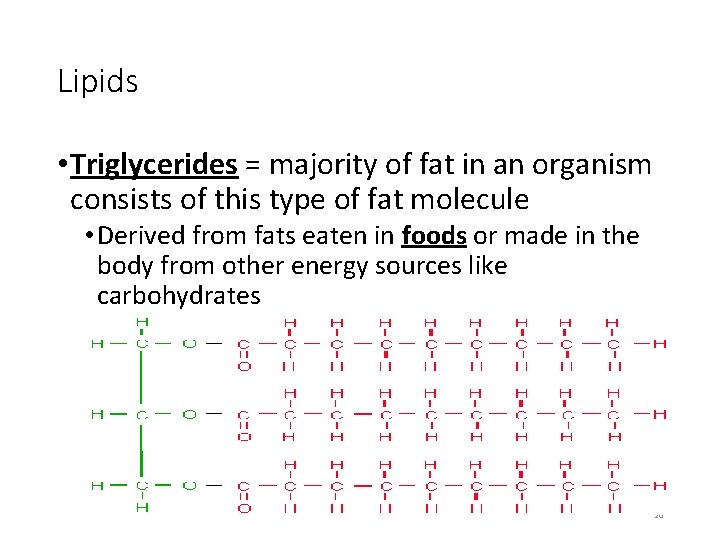 Lipids • Triglycerides = majority of fat in an organism consists of this type