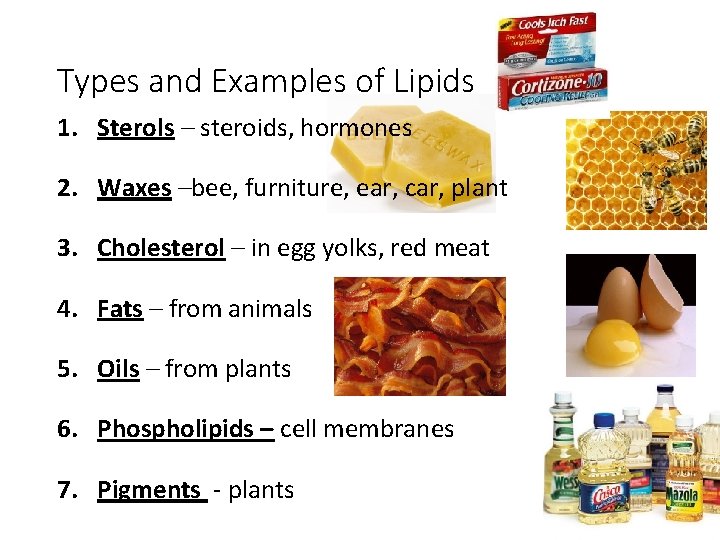 Types and Examples of Lipids 1. Sterols – steroids, hormones 2. Waxes –bee, furniture,