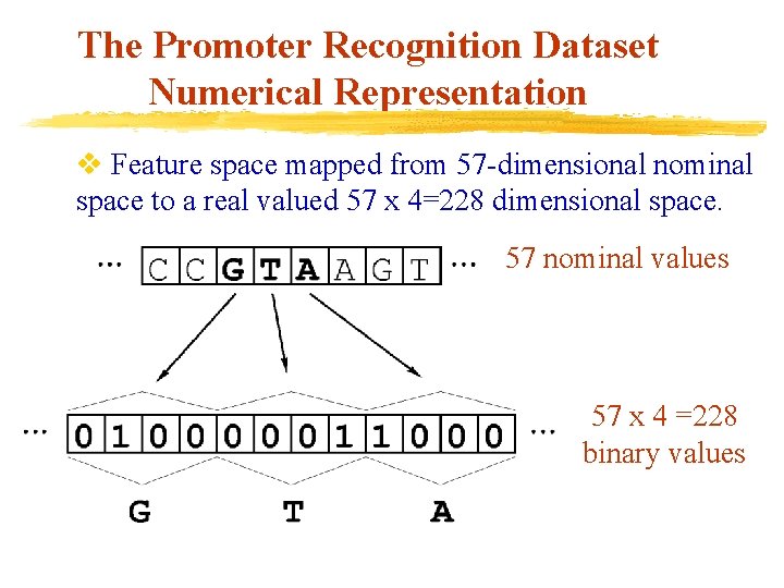 The Promoter Recognition Dataset Numerical Representation v Feature space mapped from 57 -dimensional nominal