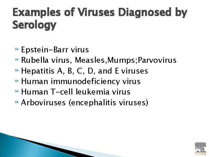 Examples of Viruses Diagnosed by Serology Epstein-Barr virus Rubella virus, Measles, Mumps; Parvovirus Hepatitis