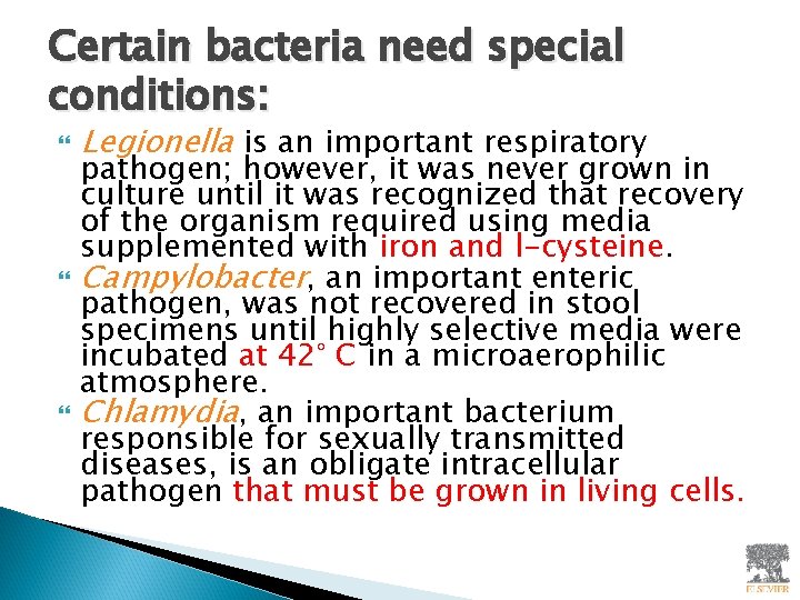 Certain bacteria need special conditions: Legionella is an important respiratory pathogen; however, it was