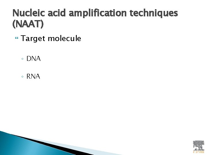 Nucleic acid amplification techniques (NAAT) Target molecule ◦ DNA ◦ RNA 