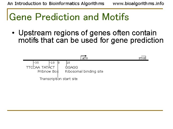 An Introduction to Bioinformatics Algorithms www. bioalgorithms. info Gene Prediction and Motifs • Upstream