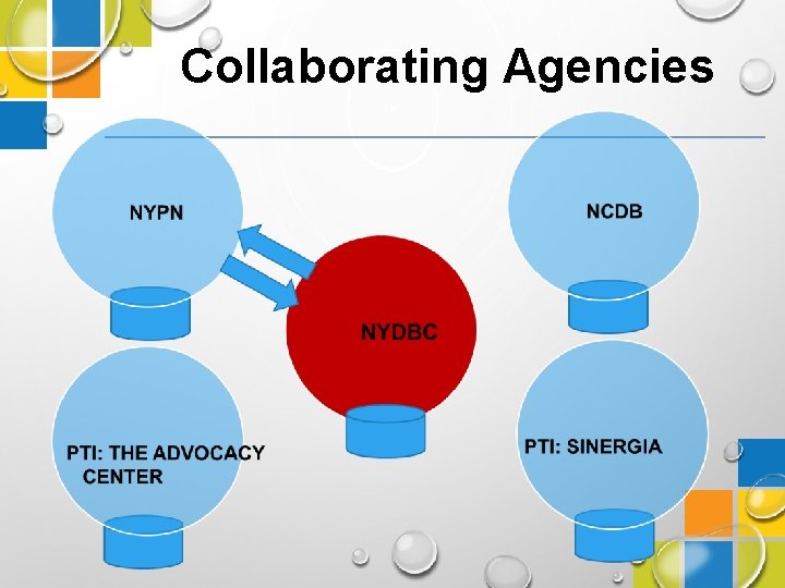 Collaborating Agencies 