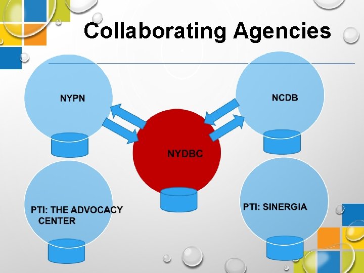 Collaborating Agencies 