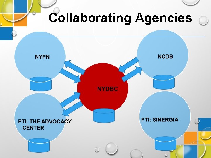 Collaborating Agencies 