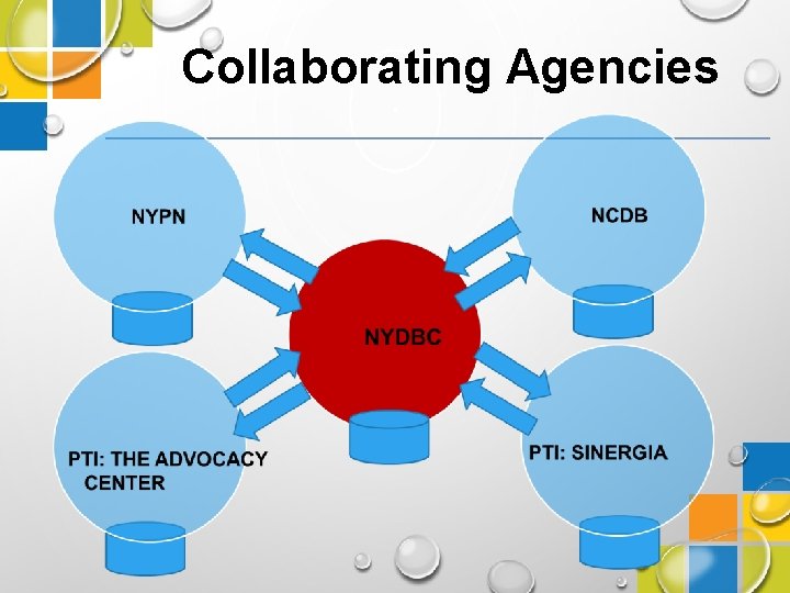 Collaborating Agencies 