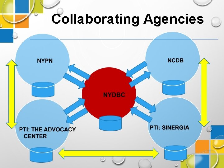 Collaborating Agencies 