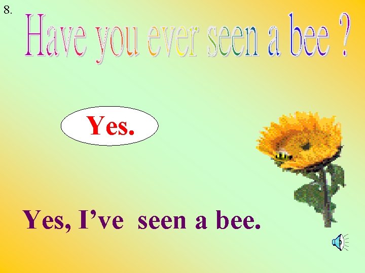 8. Yes, I’ve seen a bee. 