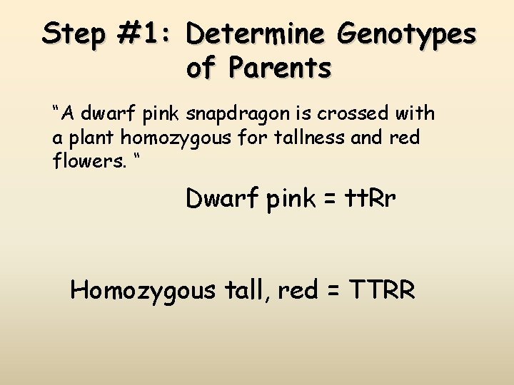 Step #1: Determine Genotypes of Parents “A dwarf pink snapdragon is crossed with a