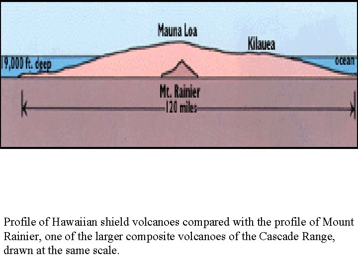 Profile of Hawaiian shield volcanoes compared with the profile of Mount Rainier, one of