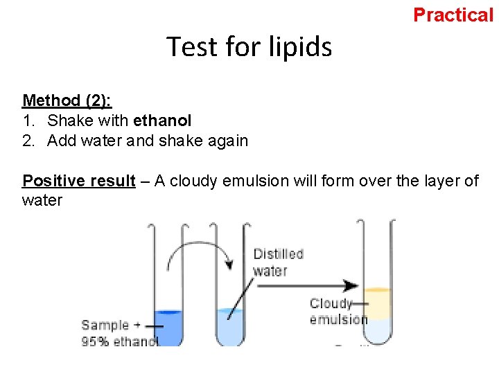 Practical Test for lipids Method (2): 1. Shake with ethanol 2. Add water and