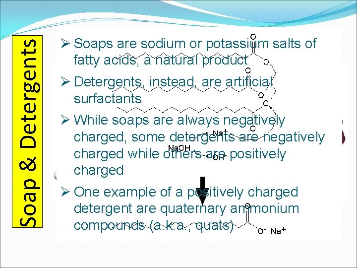 Soap & Detergents Ø Soaps are sodium or potassium salts of fatty acids, a