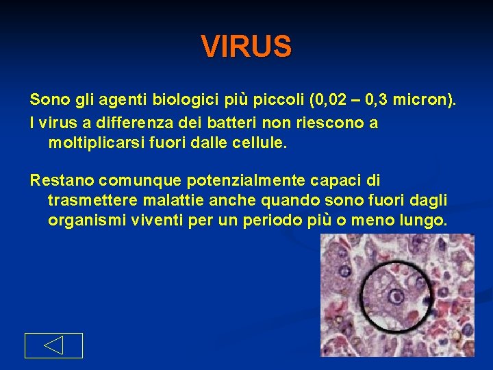 VIRUS Sono gli agenti biologici più piccoli (0, 02 – 0, 3 micron). I