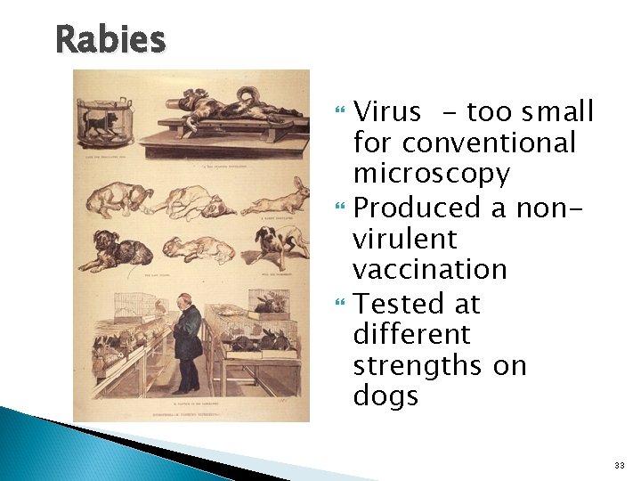 Rabies Virus - too small for conventional microscopy Produced a nonvirulent vaccination Tested at