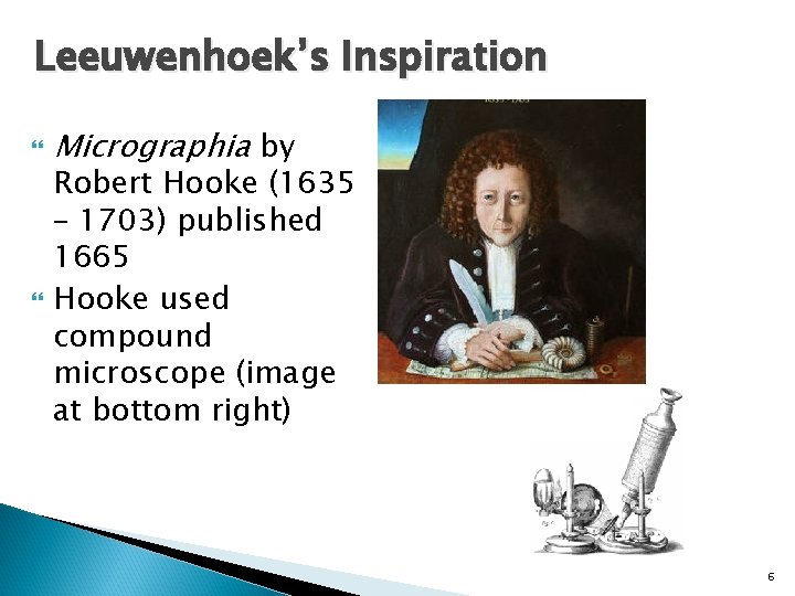 Leeuwenhoek’s Inspiration Micrographia by Robert Hooke (1635 – 1703) published 1665 Hooke used compound