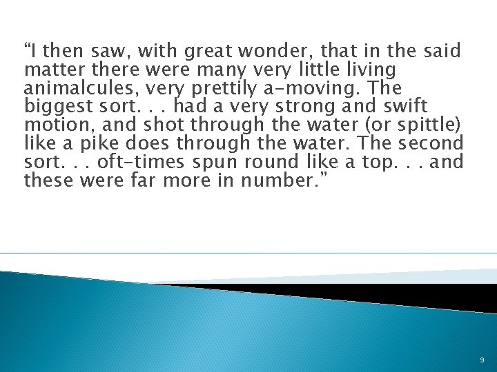 “I then saw, with great wonder, that in the said matter there were many