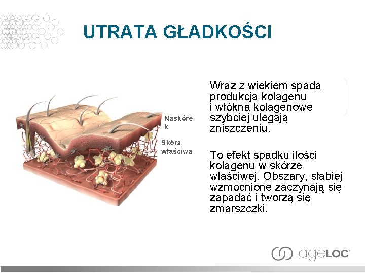 UTRATA GŁADKOŚCI Naskóre k Skóra właściwa Wraz z wiekiem spada produkcja kolagenu i włókna