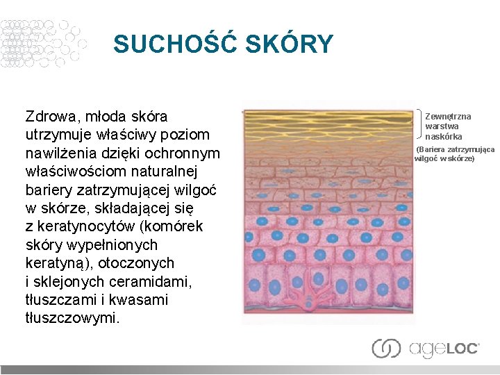 SUCHOŚĆ SKÓRY Zdrowa, młoda skóra utrzymuje właściwy poziom nawilżenia dzięki ochronnym właściwościom naturalnej bariery