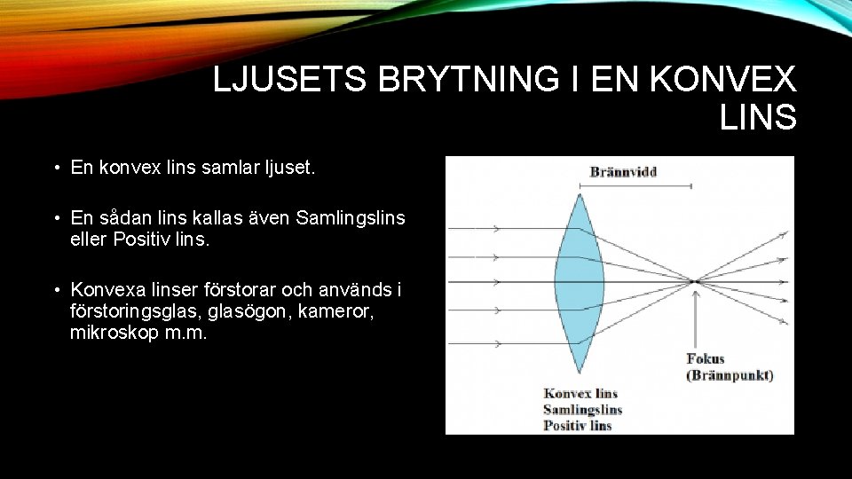 LJUSETS BRYTNING I EN KONVEX LINS • En konvex lins samlar ljuset. • En