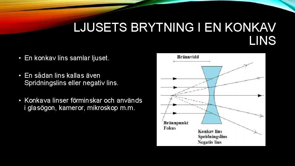 LJUSETS BRYTNING I EN KONKAV LINS • En konkav lins samlar ljuset. • En