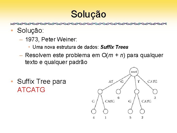 Solução • Solução: – 1973, Peter Weiner: • Uma nova estrutura de dados: Suffix