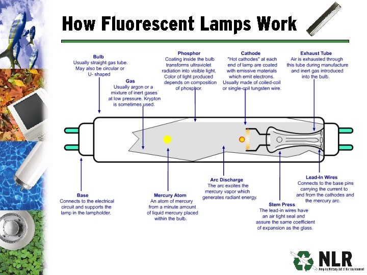 How Fluorescent Lamps Work 