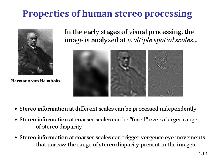 Properties of human stereo processing In the early stages of visual processing, the image